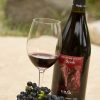 Trip Spotlight: Gourmet Wine Pairing Rio Chama Adventure Glass of a red Vivac wine and grapes