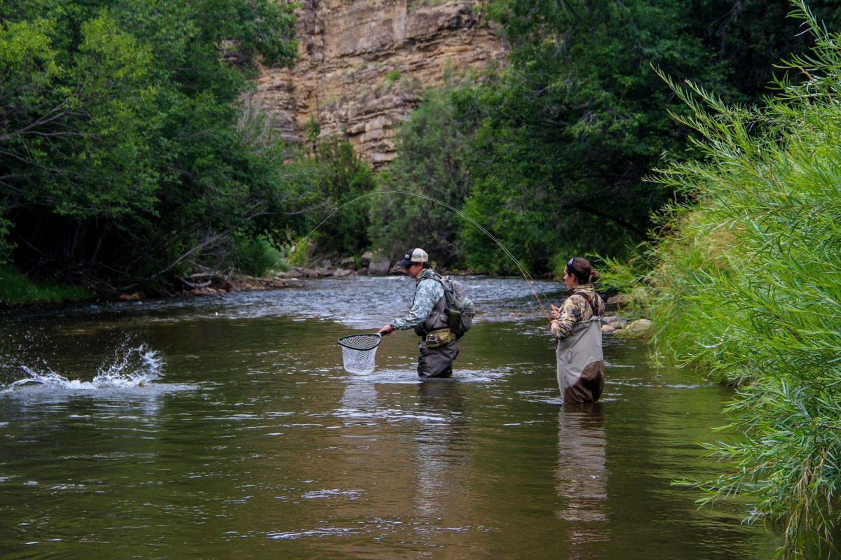 Catching a fish fly fishing in santa fe