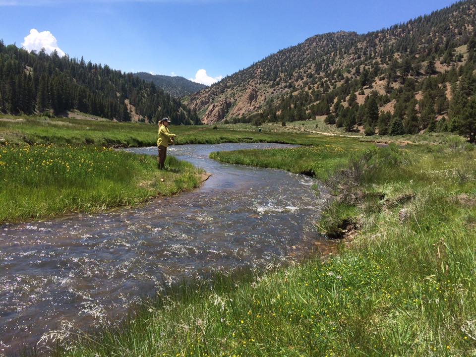 red river new mexico fly fishing