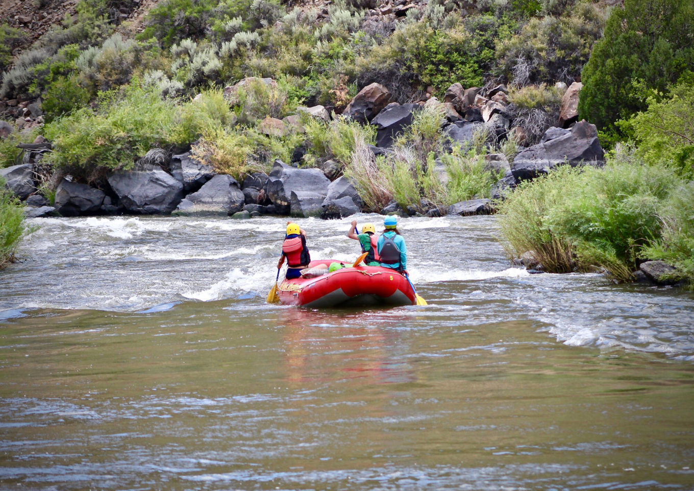 Rafters going down the racecourse on rio grande and Rio Chama