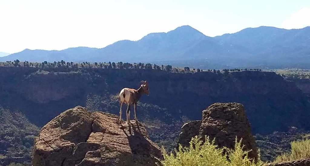 Taos Box-Gorge 6