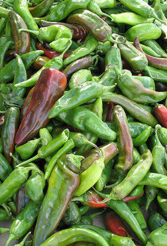 New mexico family vacations peppers