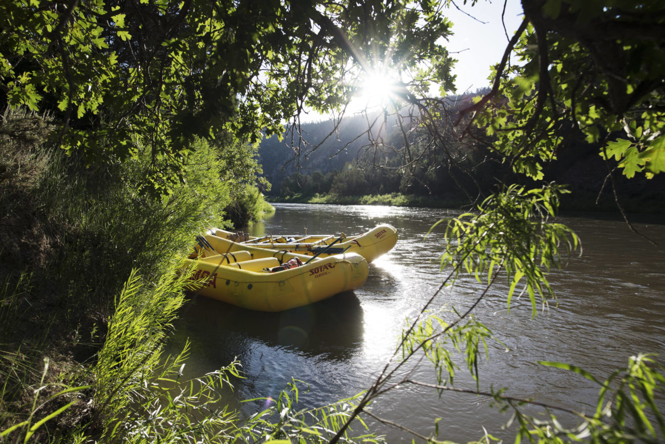 Rio Grande Racecourse rafting trip