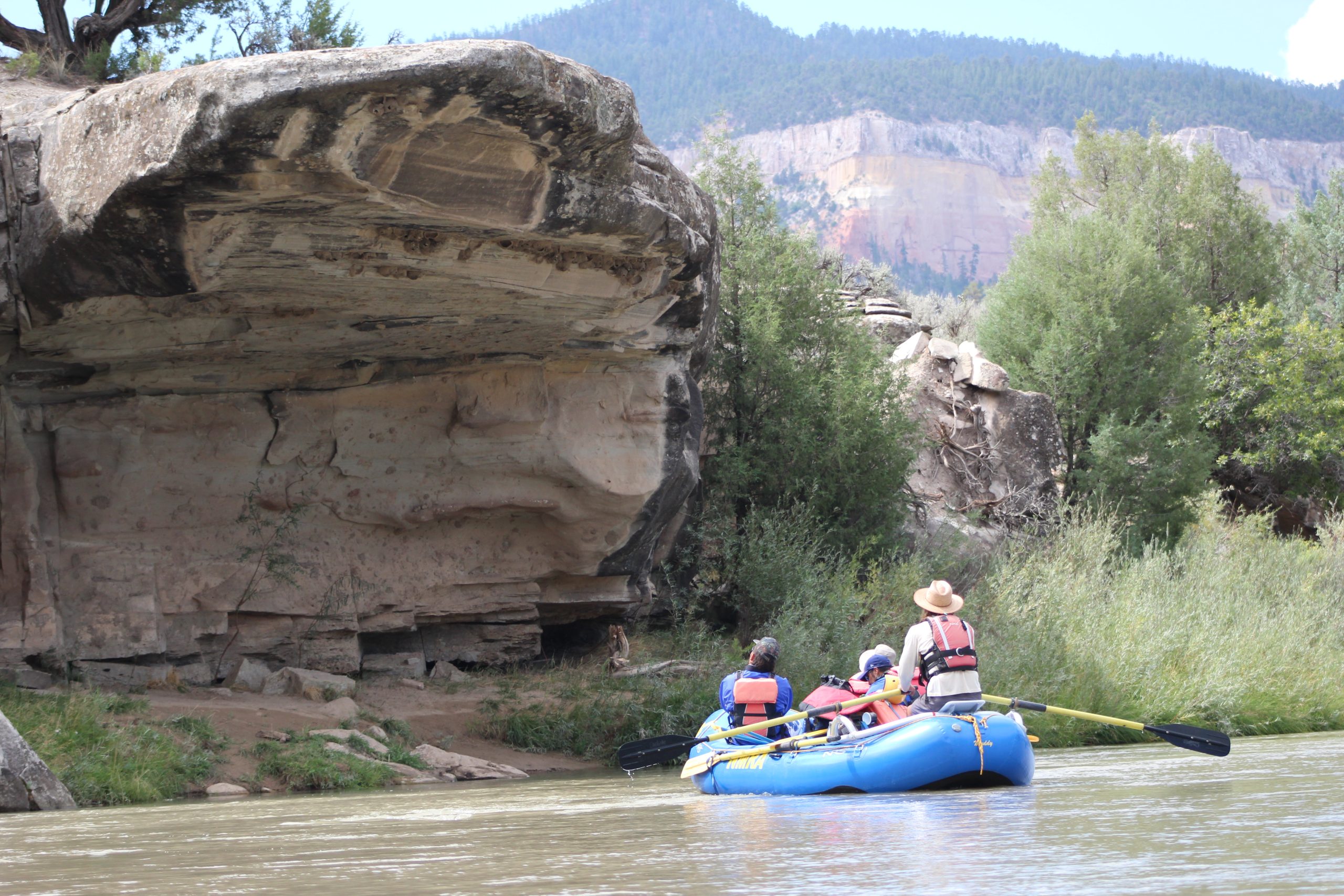 Rio Grande Racecourse rafting trip