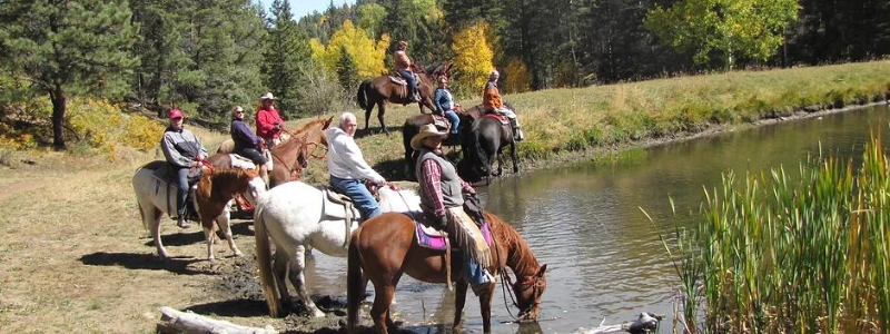 Horseback Riding Angel Fire