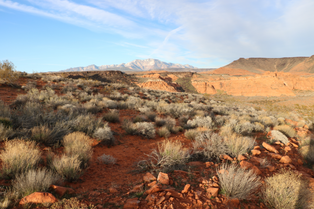 Red Cliffs National Conservation Area on an epic Las Vegas to Santa Fe road trip