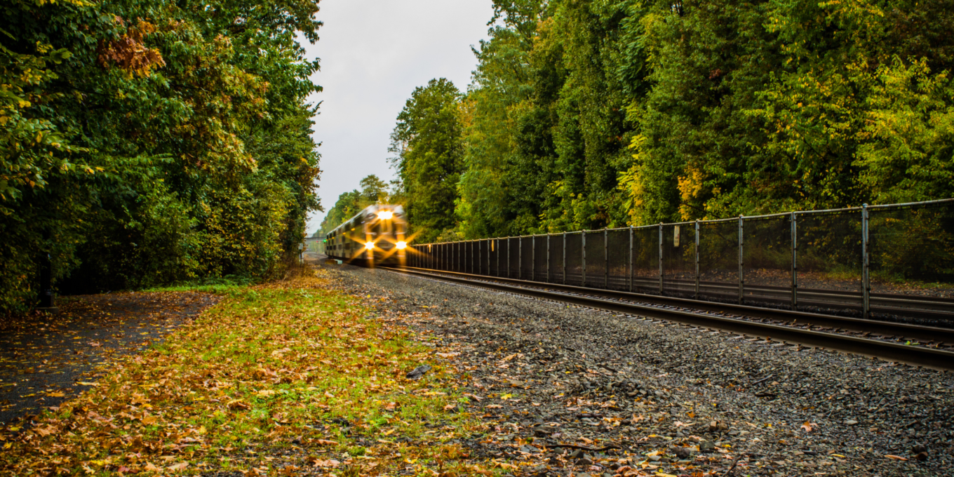 A train driving among the fall leaves