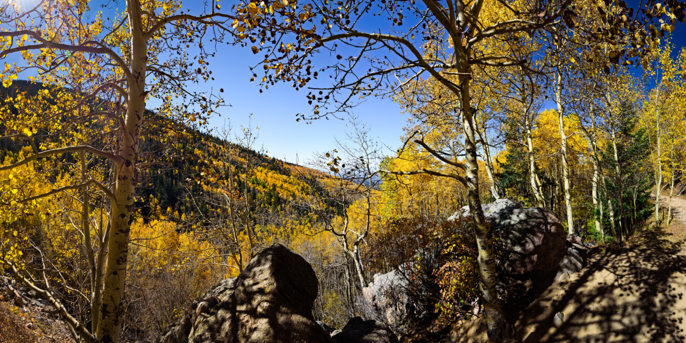 A view of the Aspen Vista trail in the fall.