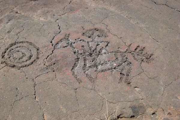 Petroglyphs along the Upper Rio Grande Valley