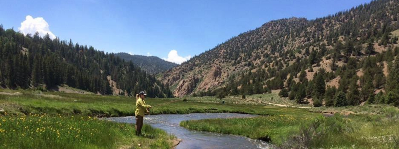 Outdoor Activities in New Mexico - fly fishing in New Mexico's wild rivers
