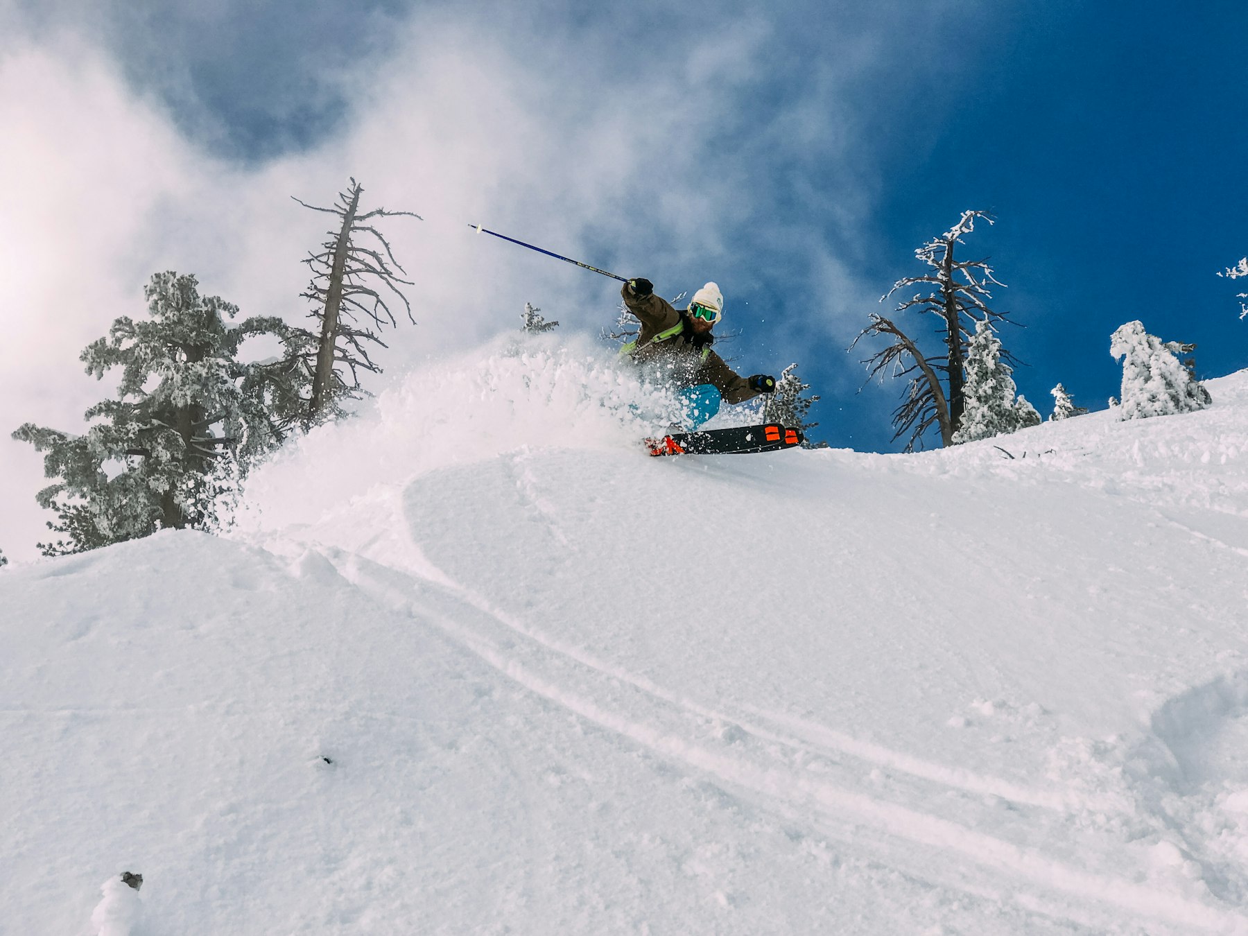 Skier kicking up fresh powder beside snow-covered pines under a blue sky